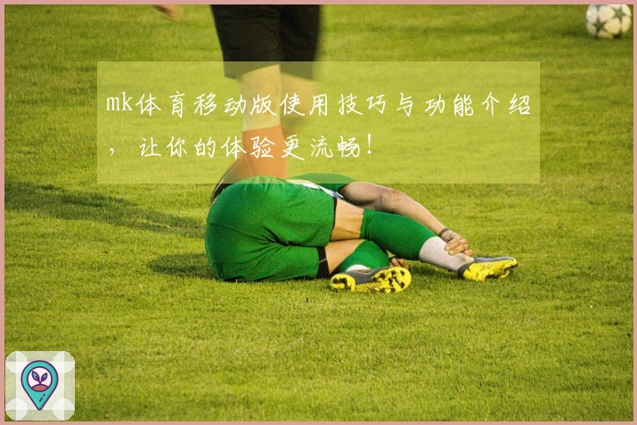 mk体育移动版使用技巧与功能介绍，让你的体验更流畅！