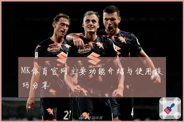 MK体育官网主要功能介绍与使用技巧分享