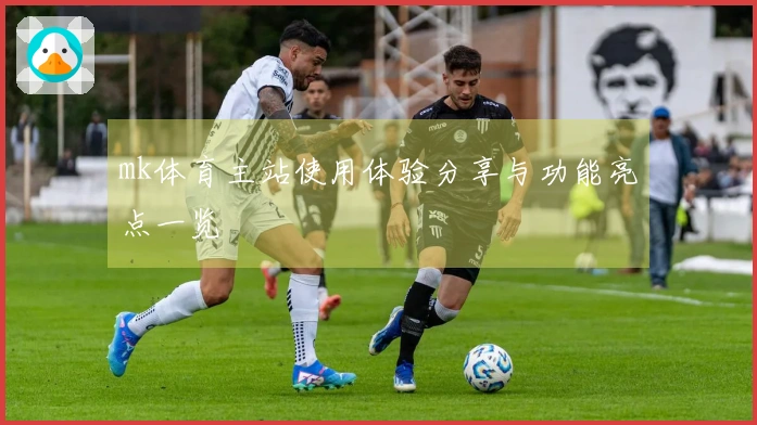 mk体育主站使用体验分享与功能亮点一览